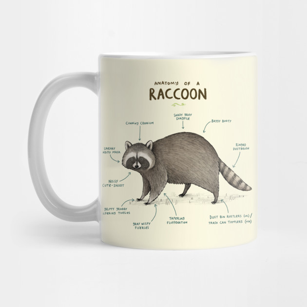 Anatomy of a Raccoon - Raccoon - Mug | TeePublic